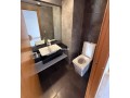 appartement-terrasse-a-louer-a-ain-de-small-5