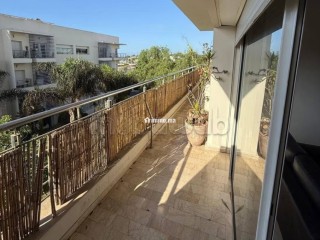 appartement-terrasse-a-louer-a-ain-de