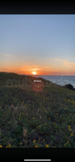 Tanger achakar - Vente Immobilier - Tanger - photo 3