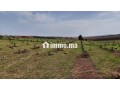 ferme-bien-equipee-situee-a-90-km-de-casa-et-30-km-delectricite-jadida-small-11