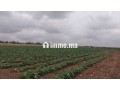 ferme-bien-equipee-situee-a-90-km-de-casa-et-30-km-delectricite-jadida-small-7