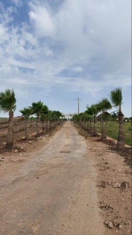 ferme-bien-equipee-situee-a-90-km-de-casa-et-30-km-delectricite-jadida-big-10