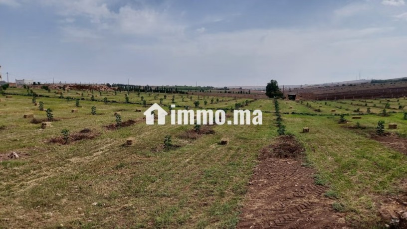 ferme-bien-equipee-situee-a-90-km-de-casa-et-30-km-delectricite-jadida-big-11
