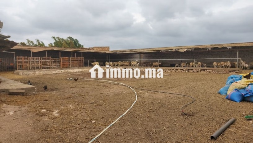 ferme-bien-equipee-situee-a-90-km-de-casa-et-30-km-delectricite-jadida-big-12