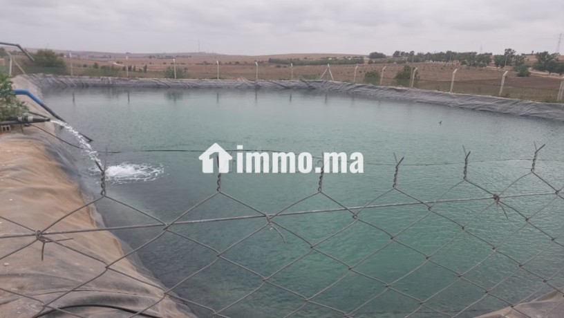 ferme-bien-equipee-situee-a-90-km-de-casa-et-30-km-delectricite-jadida-big-3