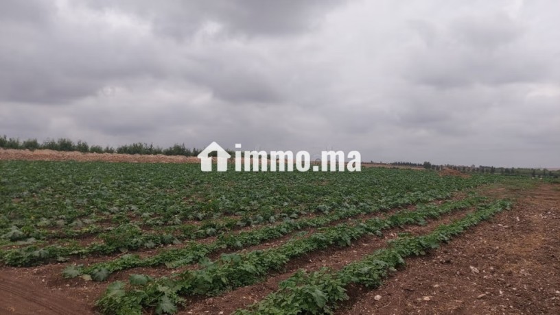 ferme-bien-equipee-situee-a-90-km-de-casa-et-30-km-delectricite-jadida-big-7