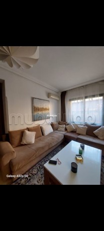 spacieux-apartement-meuble-centre-gueliz-big-8