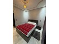 appartement-lumineux-small-3
