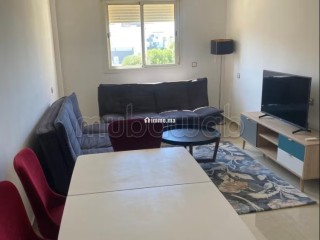 tres-bel-petit-appartement-a-louer