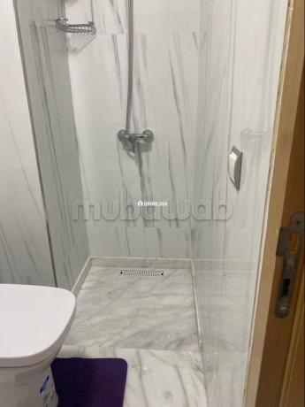 tres-bel-petit-appartement-a-louer-big-3