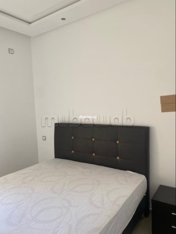 tres-bel-petit-appartement-a-louer-big-6