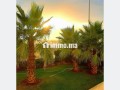 rez-jardin-meuble-a-louer-a-ain-diab-small-6