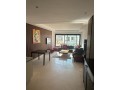 a-louer-bel-appartement-meuble-sur-gauthier-small-0