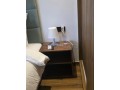 spacious-apartment-05-small-6
