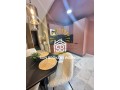 tres-joli-produit-moderne-oasis-small-9