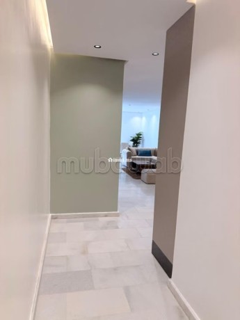 tres-bel-appartement-en-location-a-les-princesses-1-piece-meuble-big-10