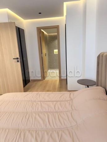 tres-bel-appartement-en-location-a-les-princesses-1-piece-meuble-big-16