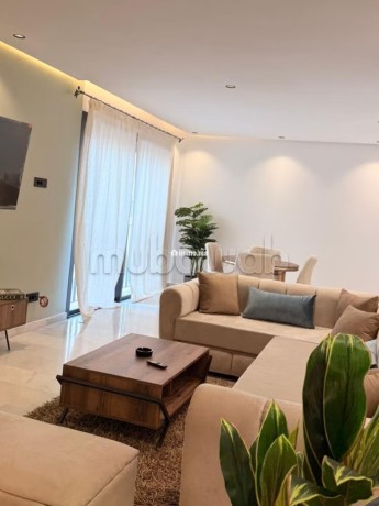tres-bel-appartement-en-location-a-les-princesses-1-piece-meuble-big-2