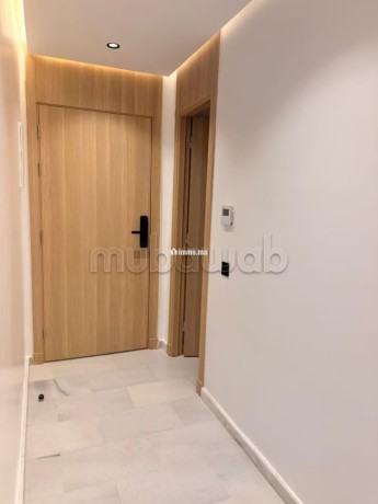 tres-bel-appartement-en-location-a-les-princesses-1-piece-meuble-big-7