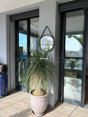 superbe-appartement-a-louer-a-casablanca-finance-city-surface-totale-70-m2-meuble-big-19
