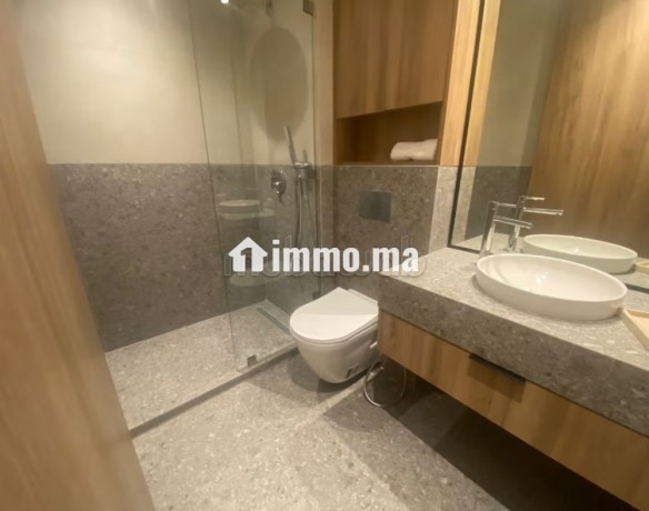 luxueux-studio-bien-meuble-a-louer-big-2