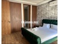 studio-neuf-a-louer-a-racine-small-5