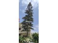 villa-a-vendre-small-5