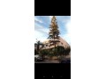 villa-a-vendre-small-7