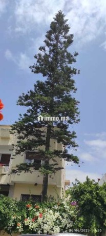 villa-a-vendre-big-5