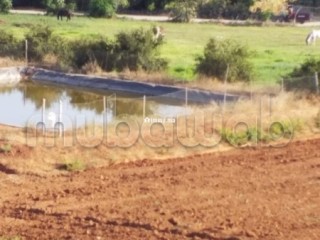 House large in OUED LAOU for rent near to the mer - Appartement à vendre