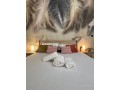 moderne-en-plein-centre-ville-vue-mer-small-14