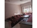 2-shk-mshms-balkaml-tmar-msyr-small-1