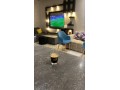 appartement-uniquement-pour-les-familles-small-5
