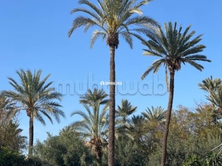 Superbe appartement avec piscine à Marrakech - Appartement à vendre