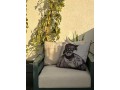 dernier-etage-terrasse-2-chambres-meuble-small-3
