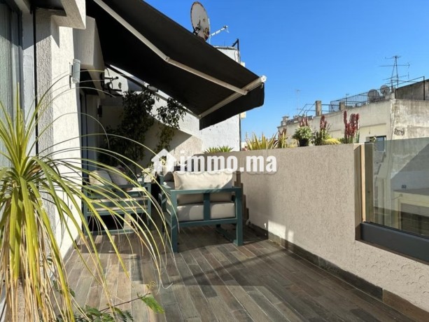 dernier-etage-terrasse-2-chambres-meuble-big-2