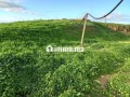 jolie-ferme-a-vendre-a-ayacha-surface-totale-42700-m2-small-9