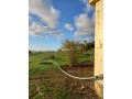 jolie-ferme-a-vendre-a-ayacha-surface-totale-42700-m2-small-11