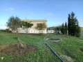 jolie-ferme-a-vendre-a-ayacha-surface-totale-42700-m2-small-12