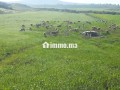 jolie-ferme-a-vendre-a-ayacha-surface-totale-42700-m2-small-1