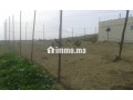 jolie-ferme-a-vendre-a-ayacha-surface-totale-42700-m2-small-2