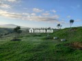 jolie-ferme-a-vendre-a-ayacha-surface-totale-42700-m2-small-7
