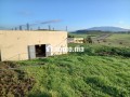 jolie-ferme-a-vendre-a-ayacha-surface-totale-42700-m2-small-8