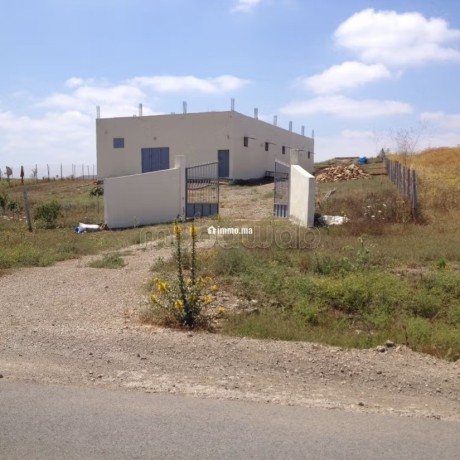 jolie-ferme-a-vendre-a-ayacha-surface-totale-42700-m2-big-0