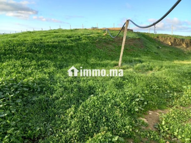 jolie-ferme-a-vendre-a-ayacha-surface-totale-42700-m2-big-9