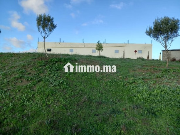 jolie-ferme-a-vendre-a-ayacha-surface-totale-42700-m2-big-10