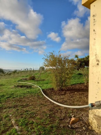 jolie-ferme-a-vendre-a-ayacha-surface-totale-42700-m2-big-11