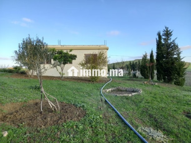 jolie-ferme-a-vendre-a-ayacha-surface-totale-42700-m2-big-12