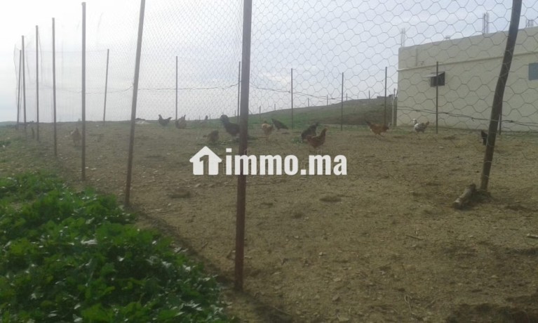 jolie-ferme-a-vendre-a-ayacha-surface-totale-42700-m2-big-2