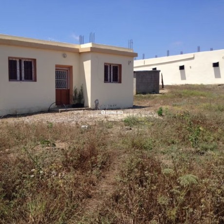 jolie-ferme-a-vendre-a-ayacha-surface-totale-42700-m2-big-4